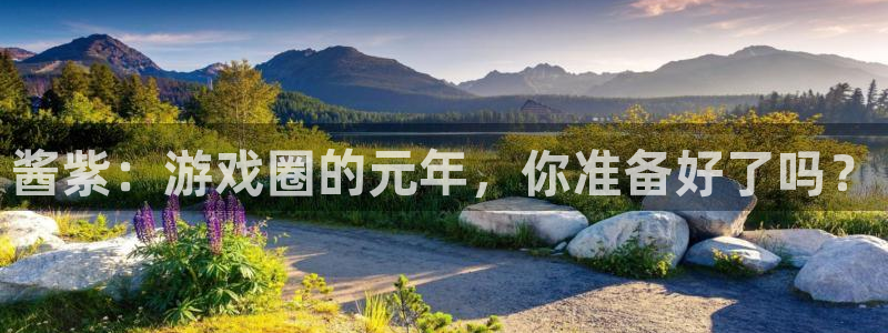 长征娱乐测速登陆